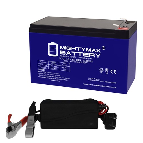 Mighty max 12v 9ah - mighty,
